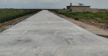 project